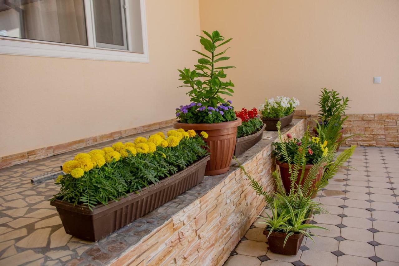 Hostel Bukhara Gold Ташкент Екстер'єр фото